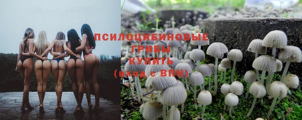 сатива Алзамай