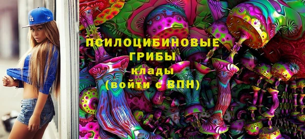сатива Алзамай