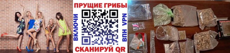 цены   Тюкалинск  OMG tor  Псилоцибиновые грибы Psilocybine cubensis 